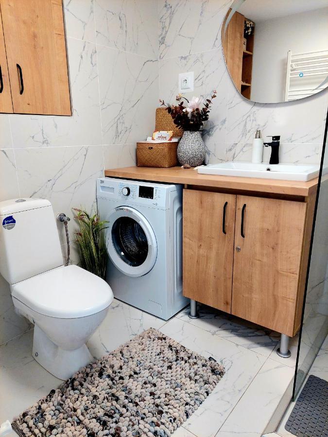 Apartament Central "Casa D'Alba" 阿尔巴·尤利亚· 外观 照片